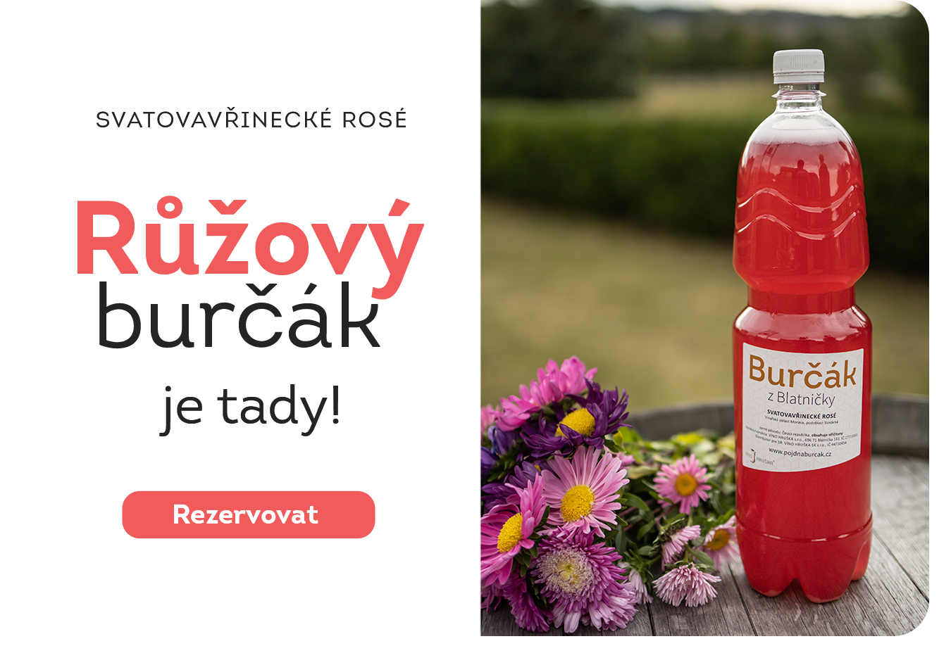 Růžový burčák